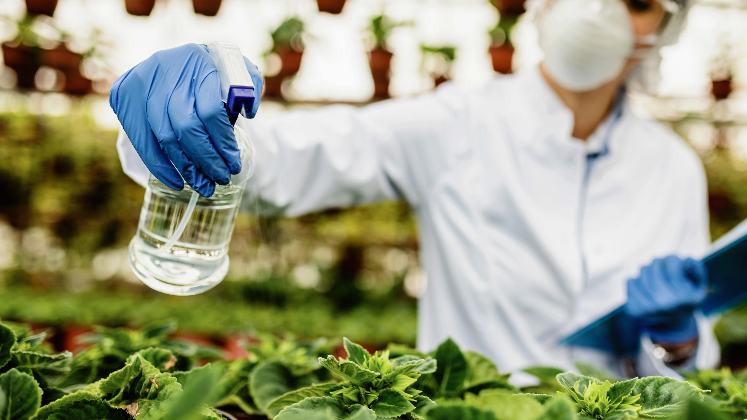 Disinfectants, Insecticides and Pesticides Industry